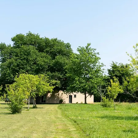 Chene Mauleon-D'armagnac